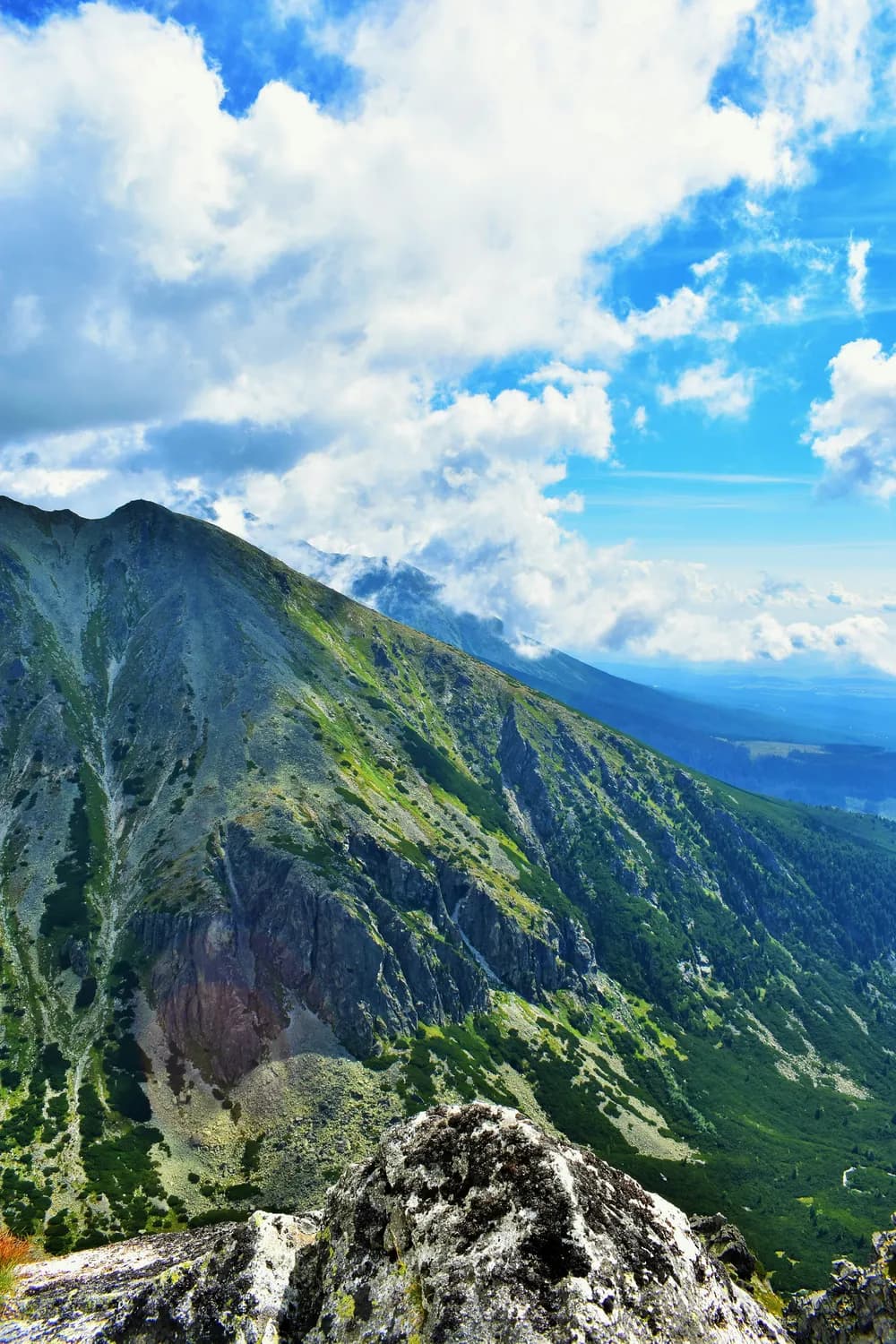 太白山国家森林公园：秦岭生态美的打卡胜地
