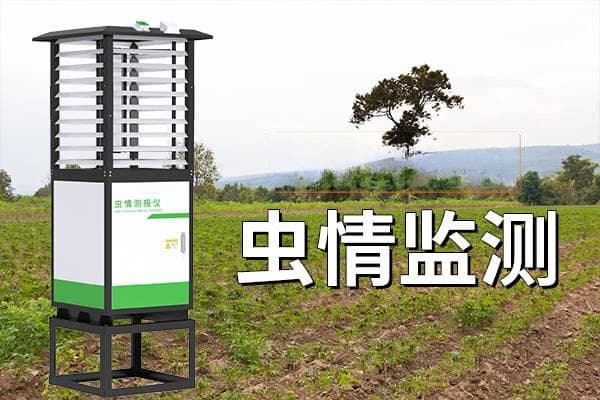 虫情监测：守护绿色生态的“前哨兵”