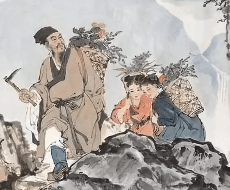 草药研究的巅峰之作：《本草纲目》的诞生