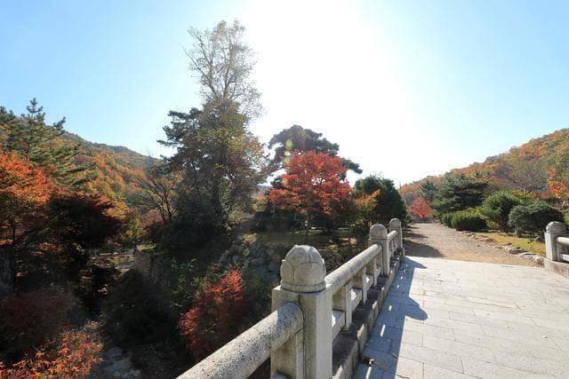北京西山国家森林公园：春赏花秋观叶，文化科普两相宜