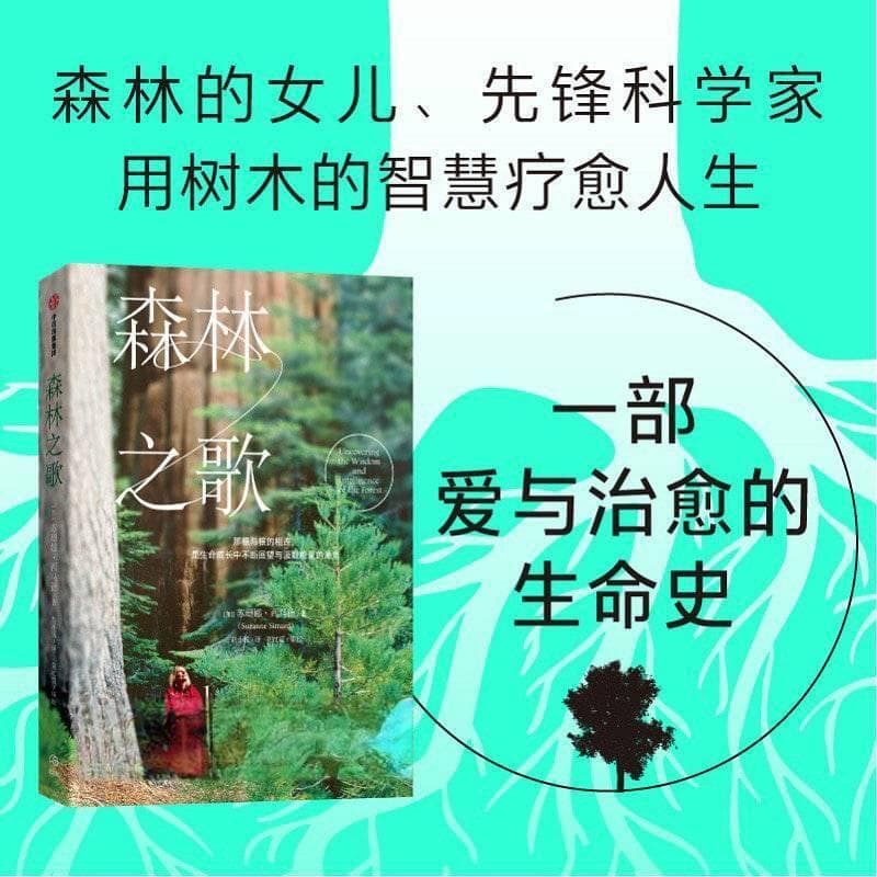 谁懂聆听“森林之歌”？ 先锋科学家用树木的智慧疗愈人生