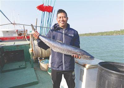 海南人过年为何“锁鲜”这条鱼？