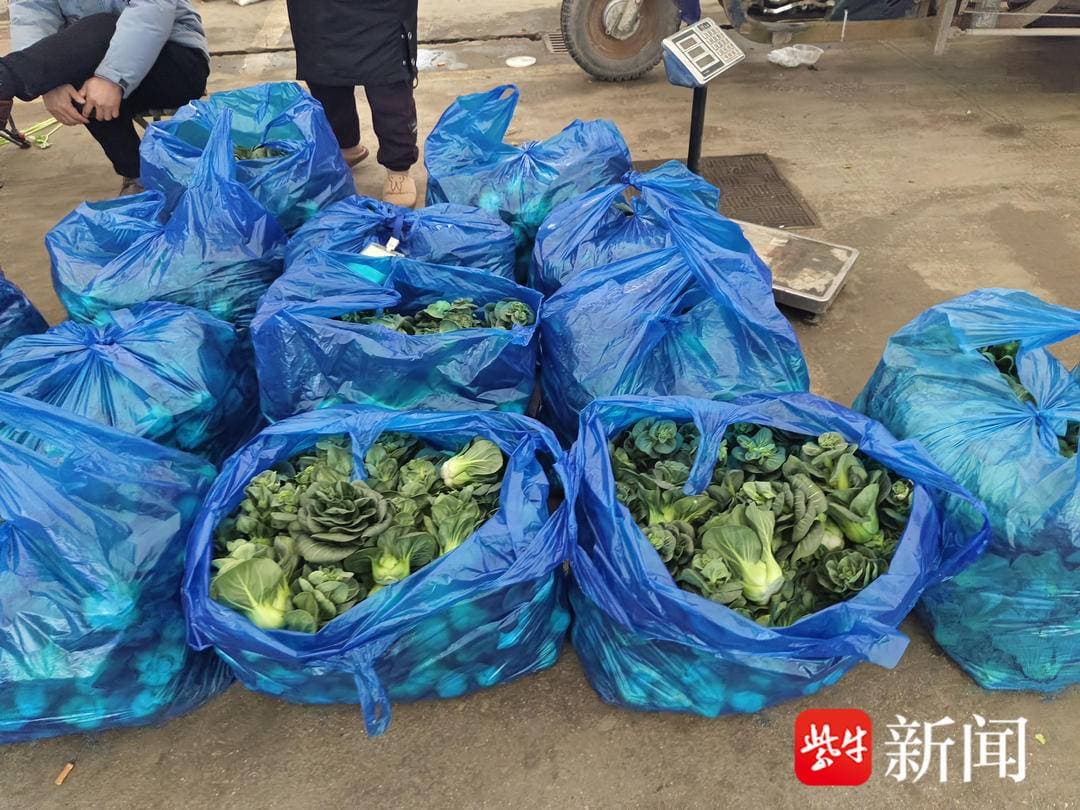天暖量多，“苏州青”价格大跳水，每斤跌破0.6元