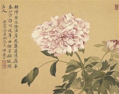 以宣纸为媒 展墨韵万变