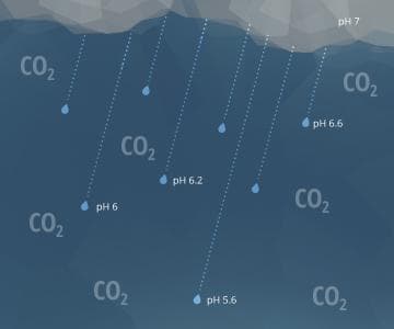 水的pH值影响因素全解析：自然与人为因素如何改变水体酸碱度？