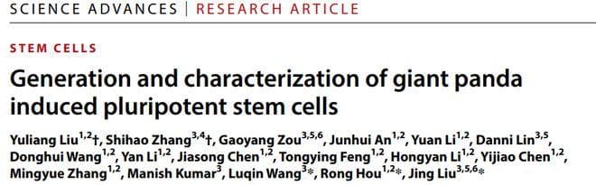 中国科学家成功建立大熊猫iPSC细胞系，为濒危物种保护开辟新途径