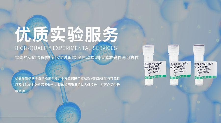 小鼠IgG亚型鉴定：高效孵育时间解决方案