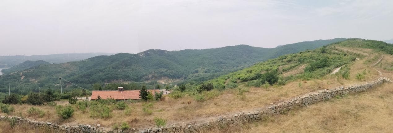 走近齐长城｜“文物+旅游”新模式让长城文化“出圈”
