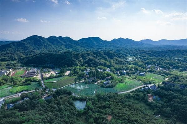 行走信阳·解码文旅新势能丨平桥区郝堂村：激活乡村文化 助力乡村振兴