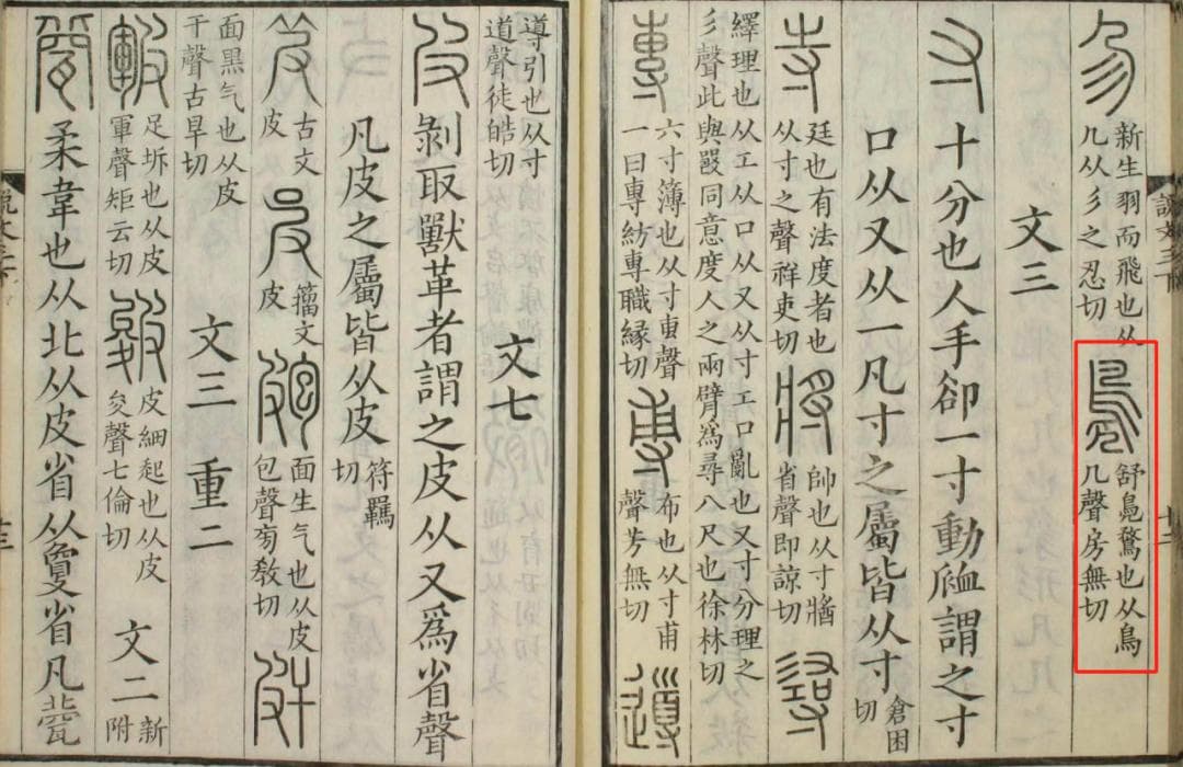“凫”字的读音与含义：从野鸭到泅水
