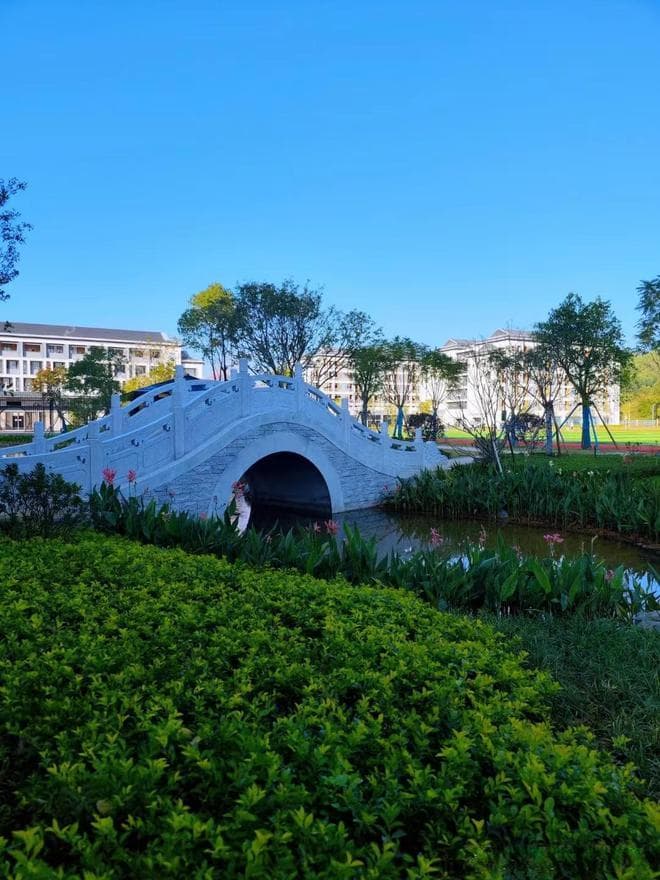未来已来，准备就绪：高一学生如何为高考及未来做准备