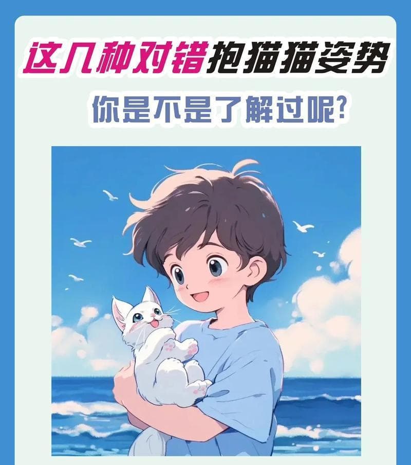 掌握正确的猫咪抱法，让你的宠物不再挣扎