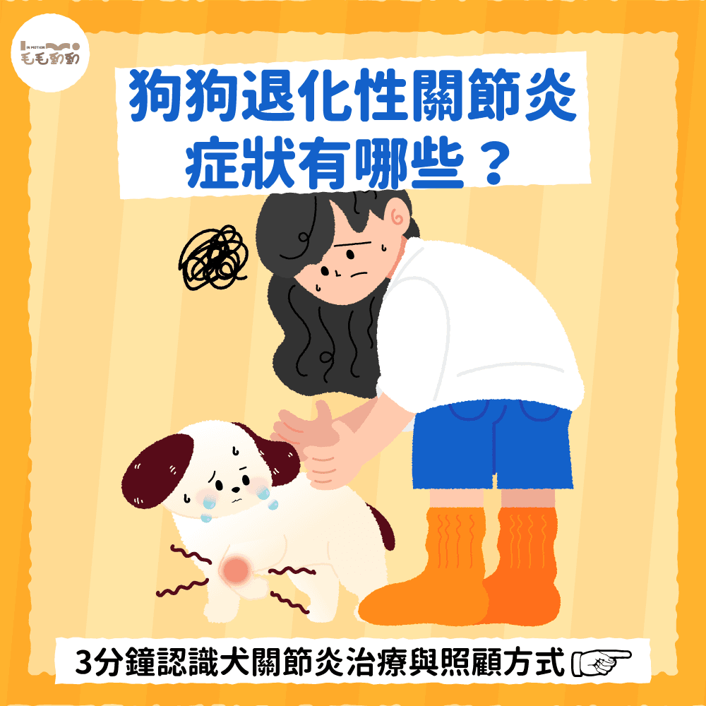 狗狗退化性关节炎的症状与治疗方法