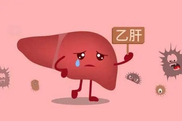 乙肝病毒携带者的生活指南