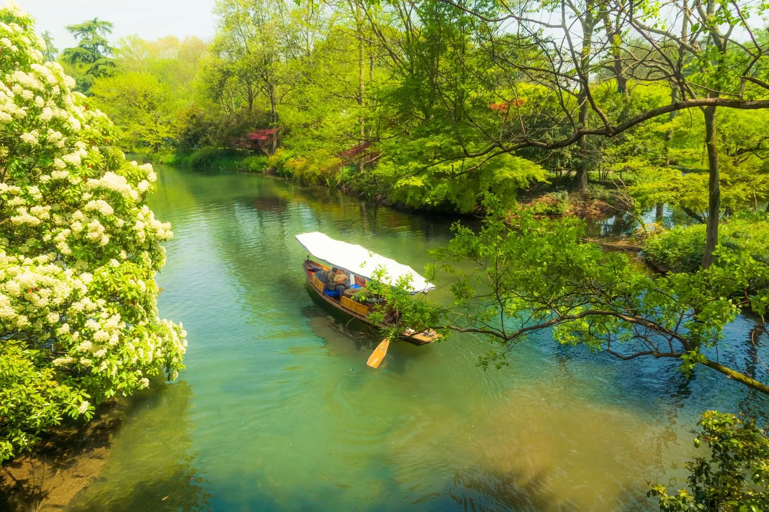 杭州亚运期间必打卡：西溪湿地摇橹船之旅