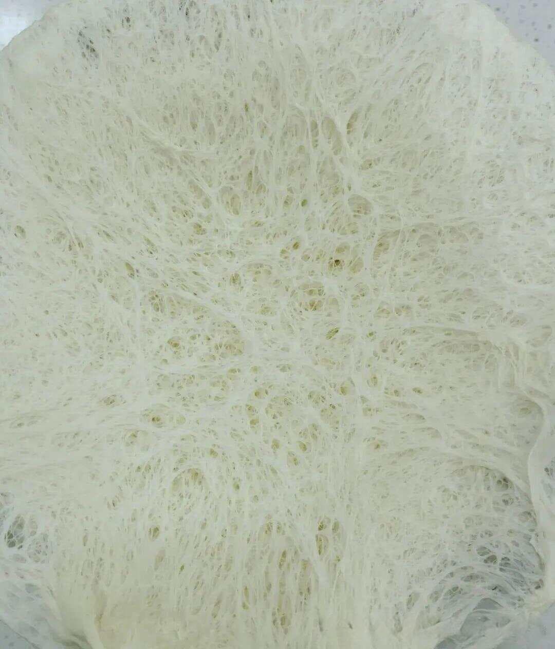 古人是如何制作天然老面的