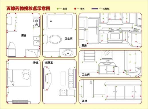 居民家庭灭蟑操作技术指南