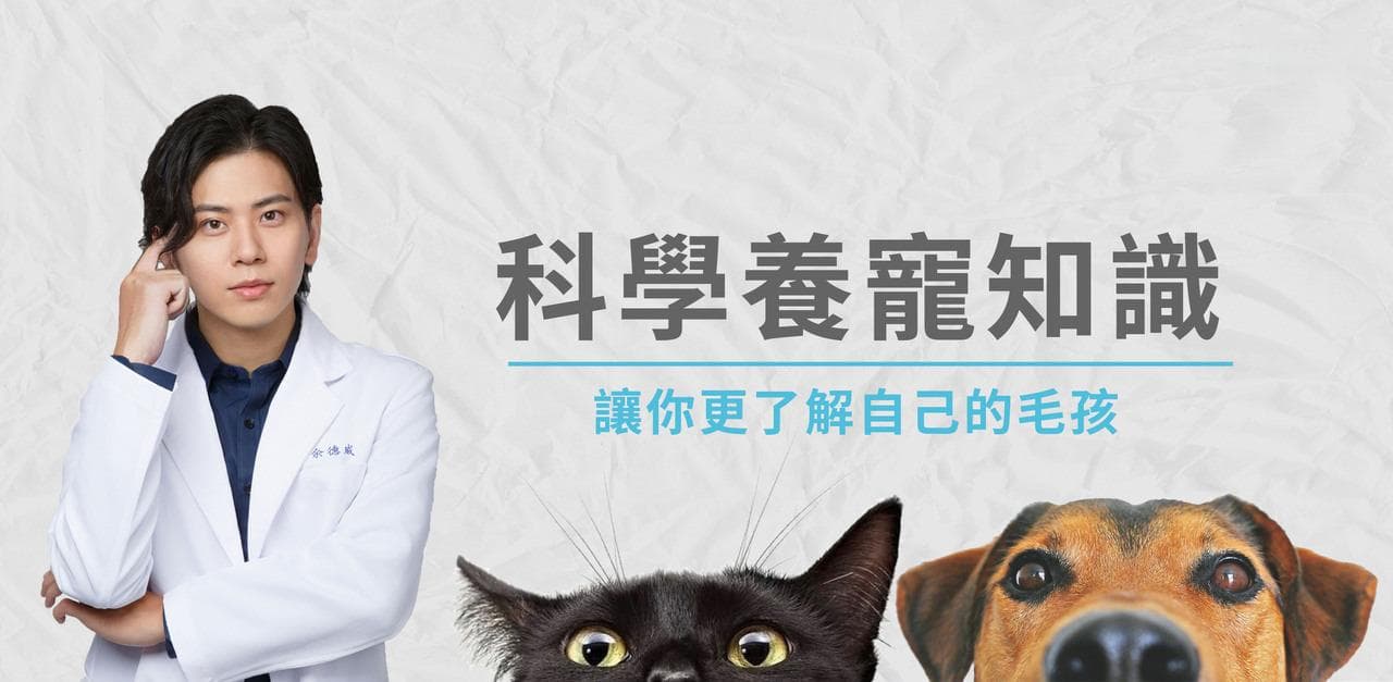 狗狗皮肤敏感瘙痒？6个简单处理方法