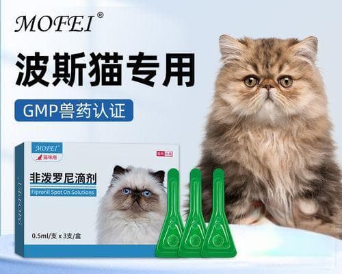 猫咪的饮水量管理：如何确保你的宠物猫每天喝到足够的水量