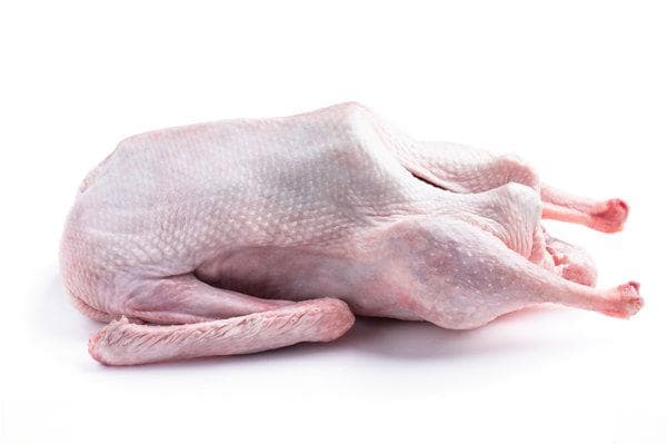 肺结核患者可以吃鹅肉吗？需要注意什么？