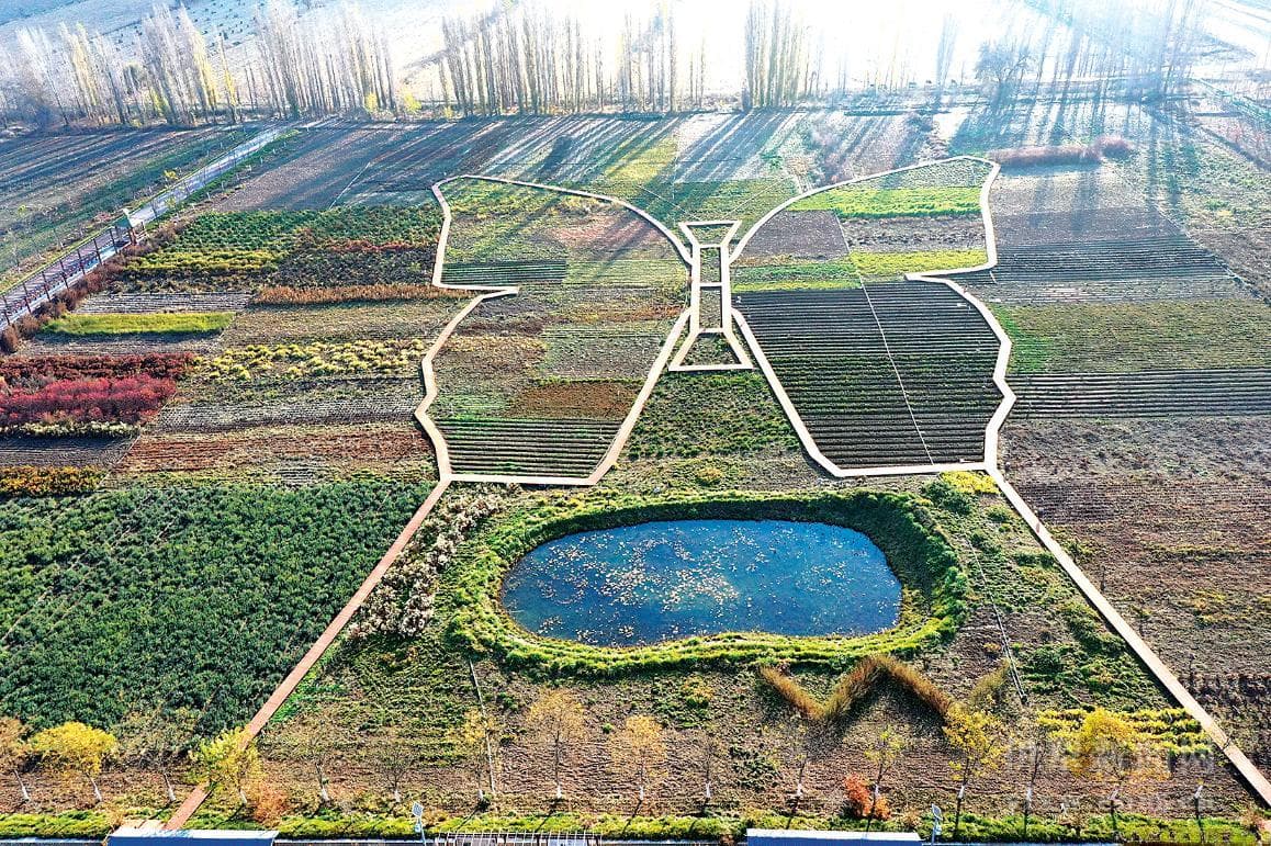 守护野生植物：点亮生物多样性之光