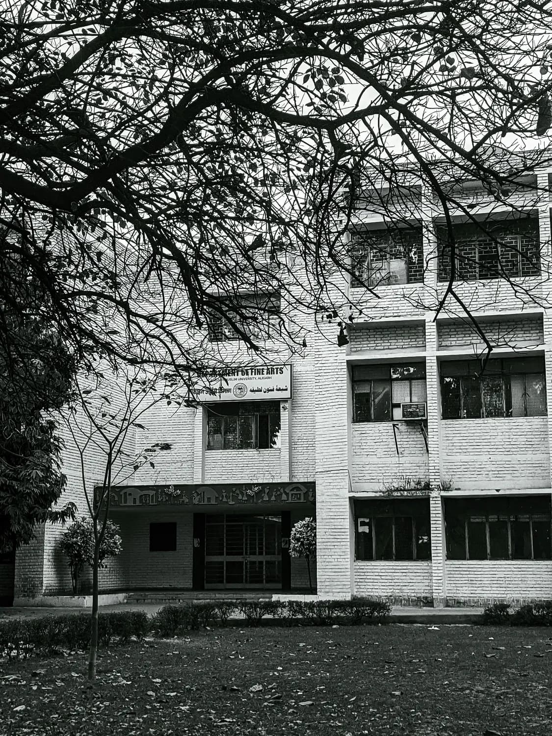 四川大学华西医院：从“刘老师”看护理职业成长之路