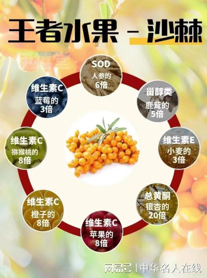 【健康科普】沙棘被誉为“全世界最完美的药用植物”