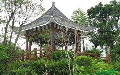 如何给花盆松土不伤根 大型花盆土硬如何松土