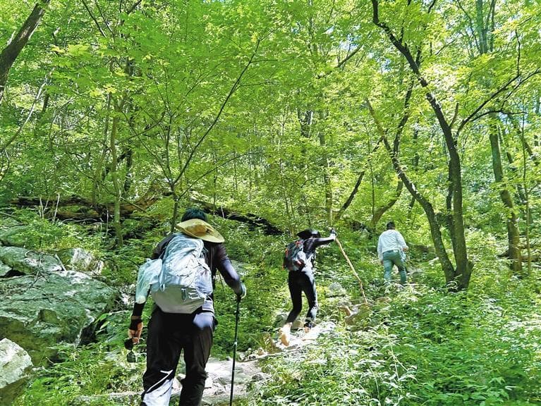 登山徒步：拥抱旷野之旅