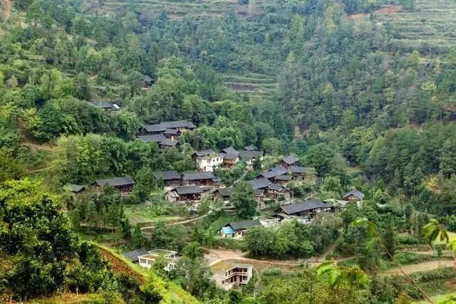 贵州黄连村：百米瀑布与千年银杏守护的布依古寨
