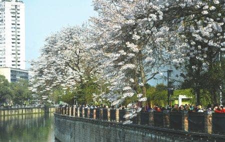 一桥跨四区 成都红星桥到底属于哪个区？