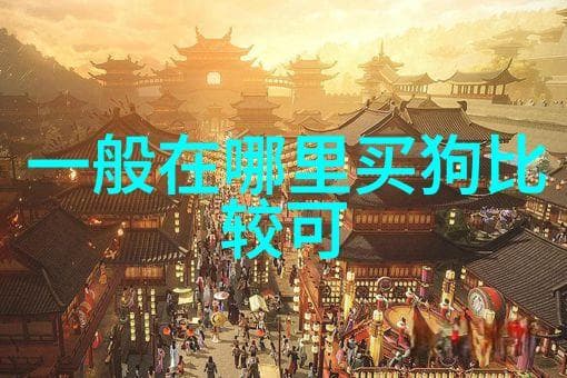 如何合理喂养雪纳瑞幼犬迷你雪纳瑞的饮食需求与注意事项