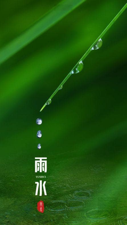 春风化雨话雨水！净化心灵，编织起一幅充满生机与希望的画卷