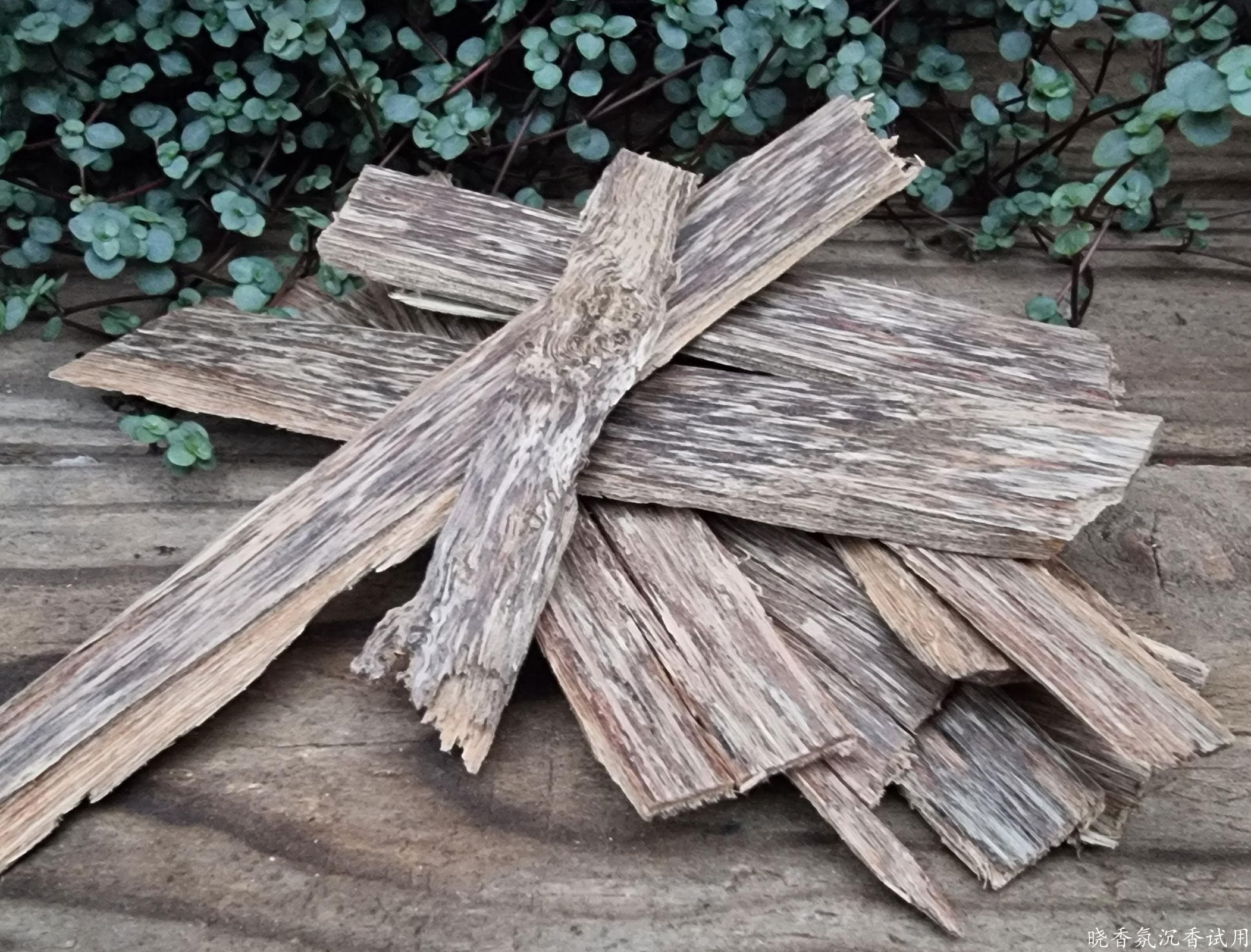 越南芽庄沉香精油的功效与作用与怎么使用？