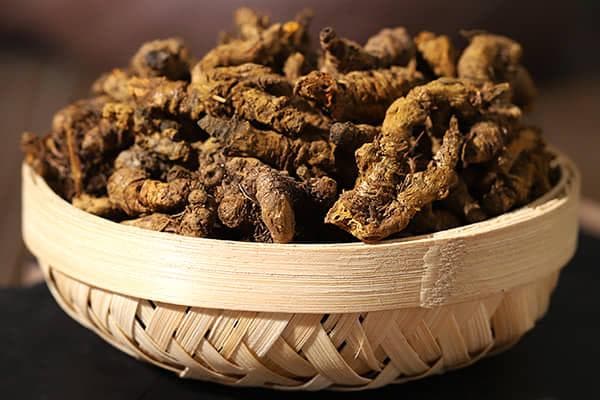 黄连的性味归经是什么
