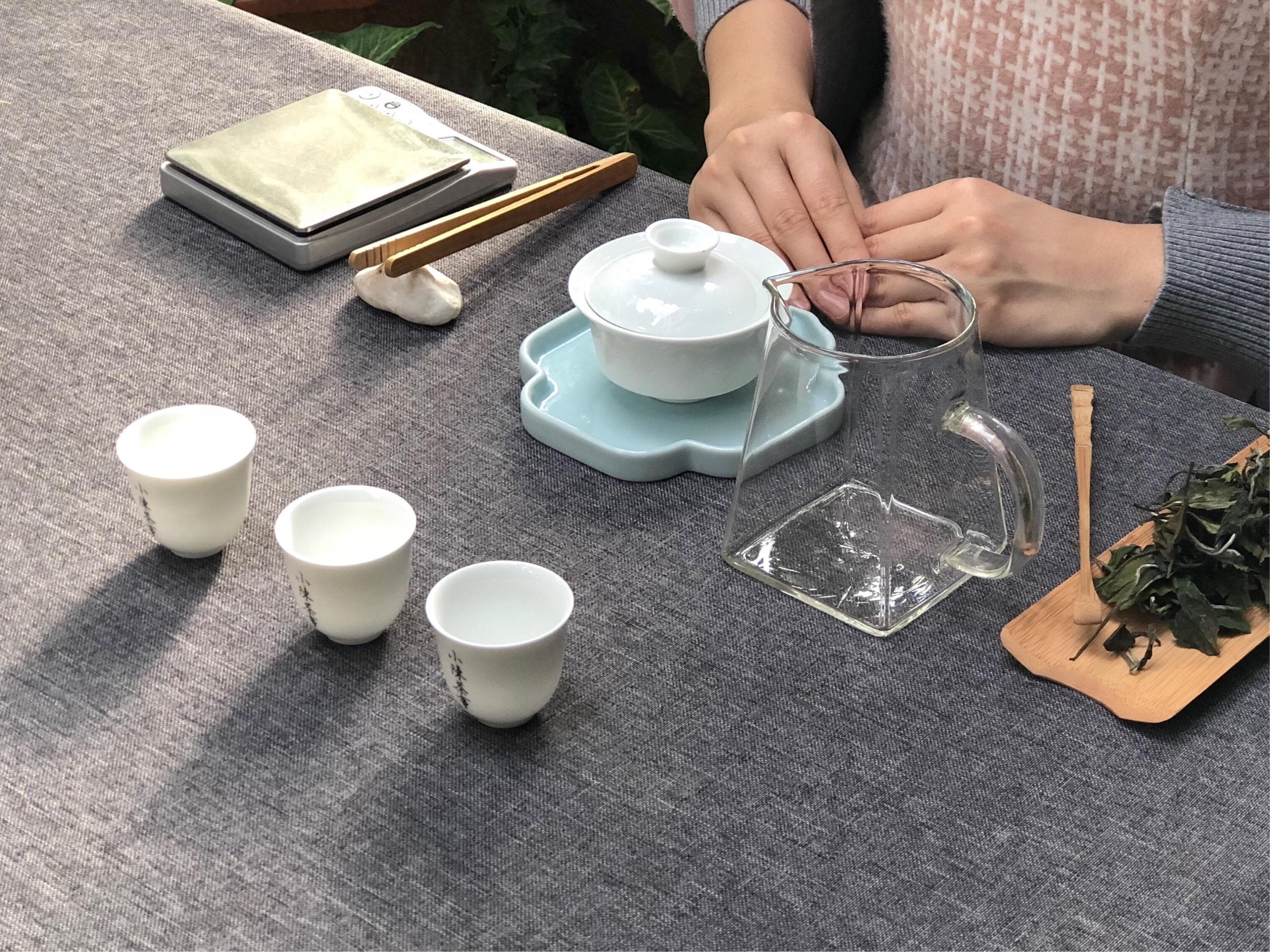 绿茶用什么泡茶器具？ 这5个茶具，真的很好用