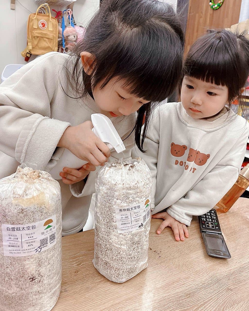 想吃菇菇自己养！在家种菇好疗愈，一暝大一寸收成好，菇包DIY为养菇业注入活力