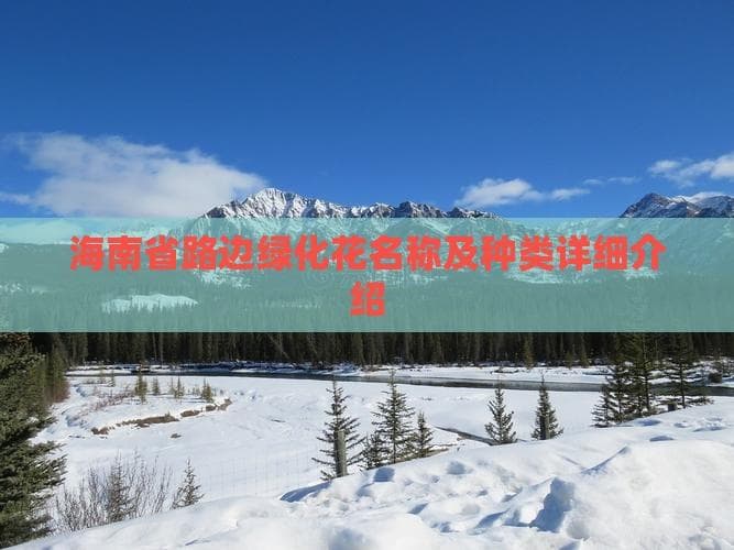 海南省路边绿化花名称及种类详细介绍