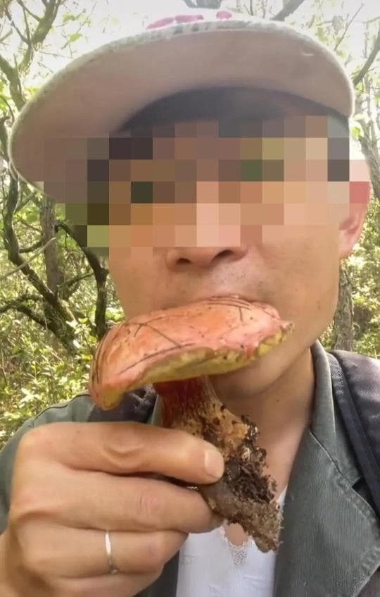 网红发视频生吃"见手青"，网友怒了：误导人！