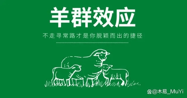 经典心理学：羊群效应
