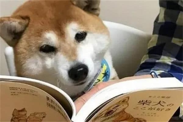 黑字旁加一个今念什么字？“黔”字的读音、释义及用法详解