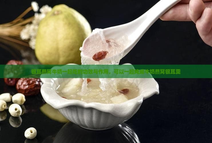 银耳燕窝牛奶一起吃的功效与作用，可以一起炖成牛奶燕窝银耳羹