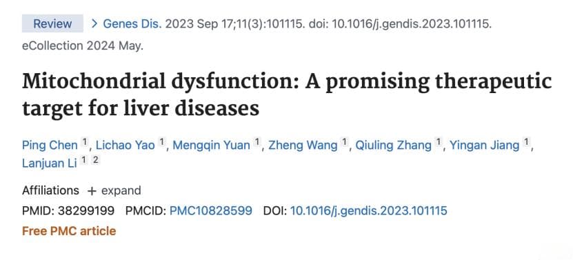 线粒体功能与肝脏健康，李兰娟院士团队发表最新综述