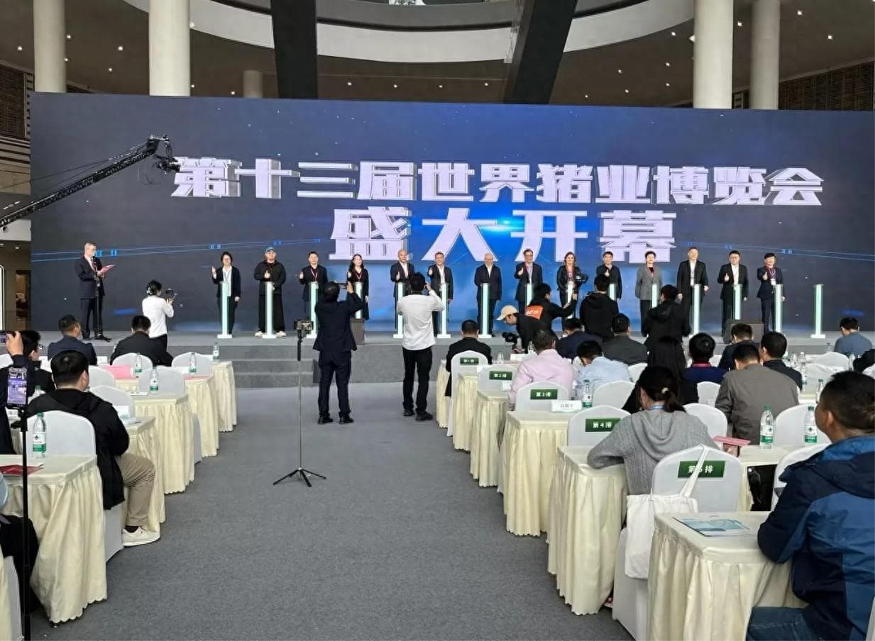 养猪业变革新引擎：生猪动态营养全解析