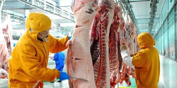 探究生猪屠宰检疫流程的核心要点