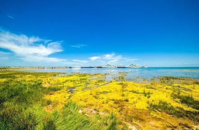 在海西的青海湖西岸，秋天的自然风光