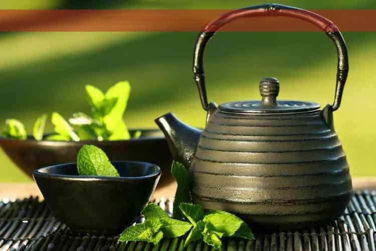 揭秘：喝这种茶，有效降低胆固醇，守护心血管健康