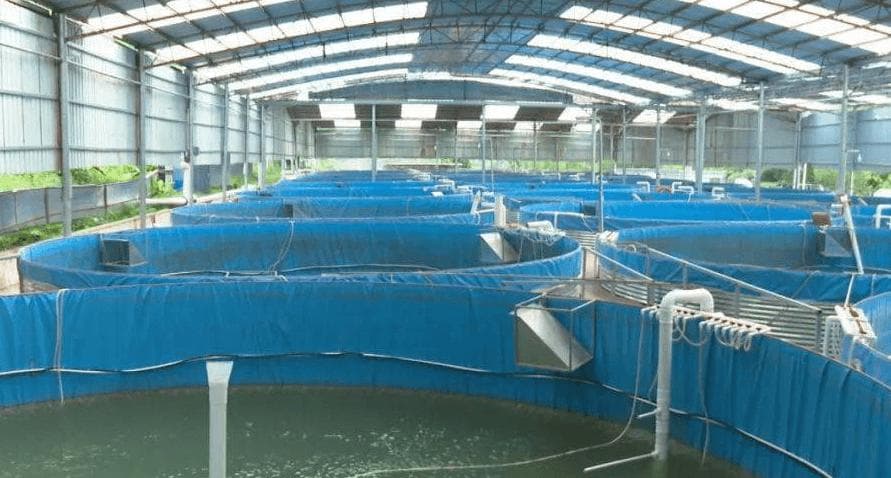如何在水产养殖中精准控制增氧机，优化水体氧气水平？