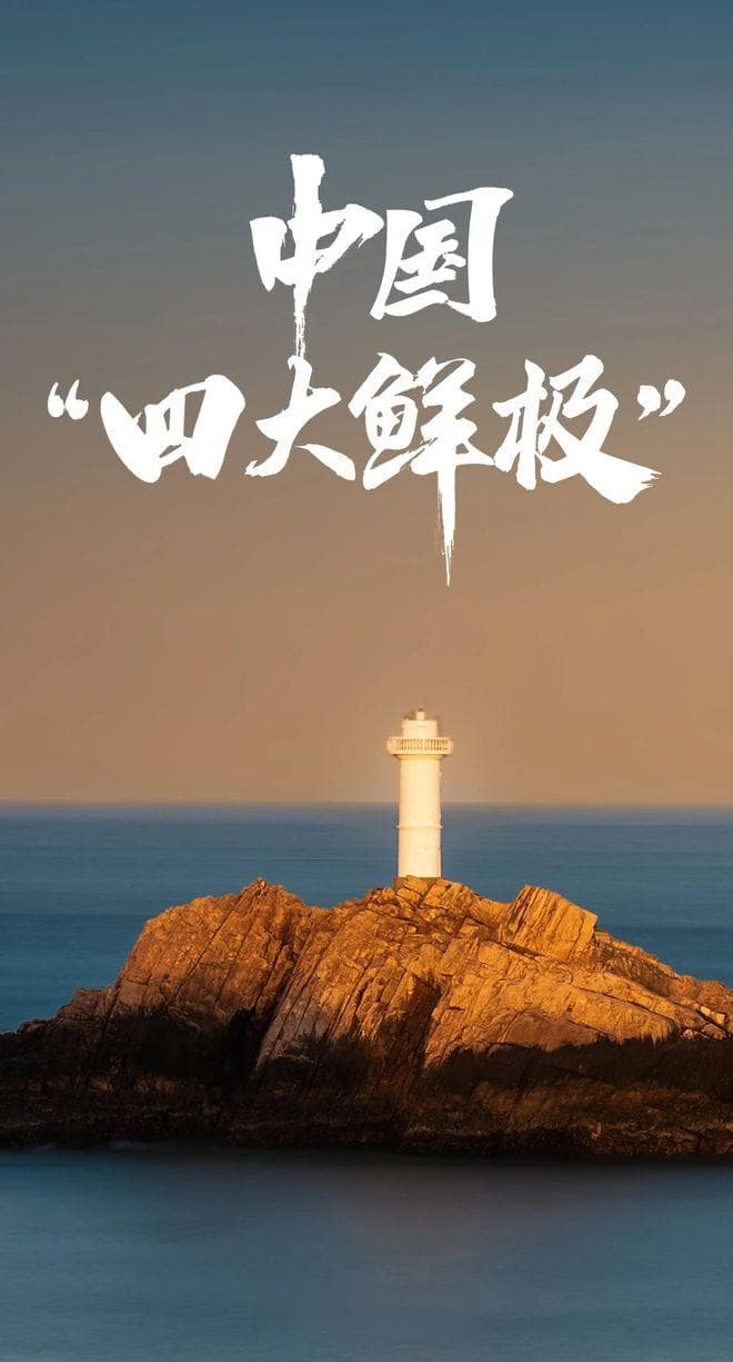 中国“四大鲜极” 来了！“南海派”湛江海鲜特点尽显：大