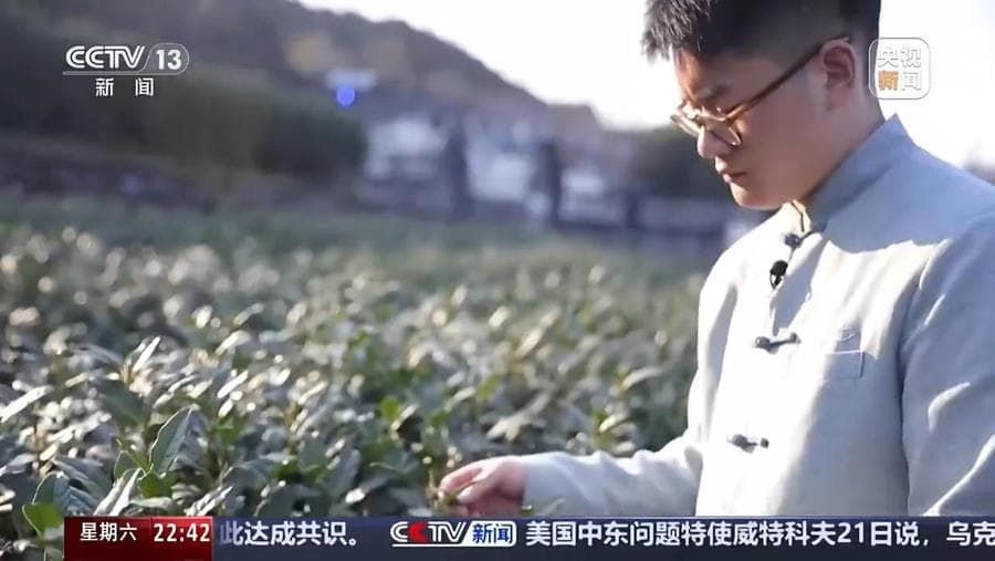 春至江南，看00后“炒”出中国茶叶新活力